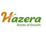 Hazera